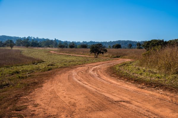 Dirt Driveway Repair in Longview