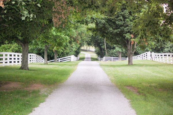 Gravel Driveway Construction in Longview