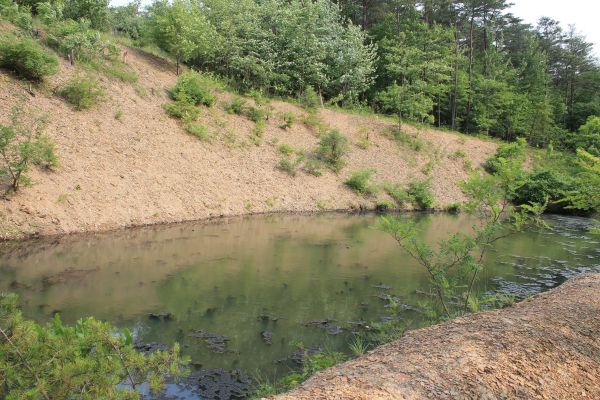 Pond Erosion Repair in Longview