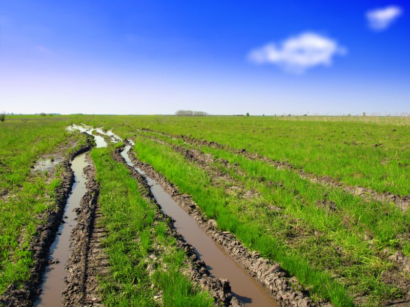 Lawn Leveling detail