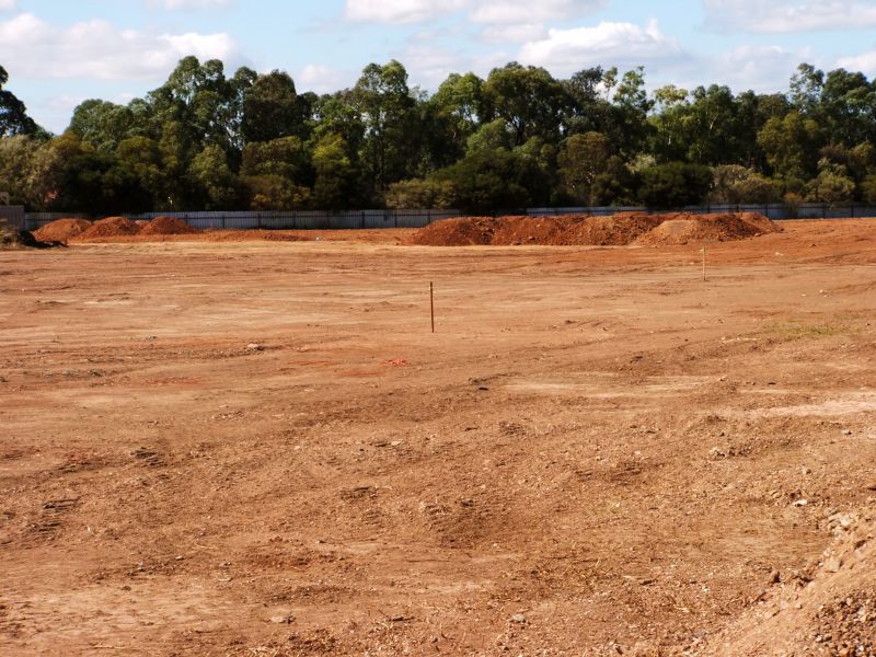 Finished Graded Landscape